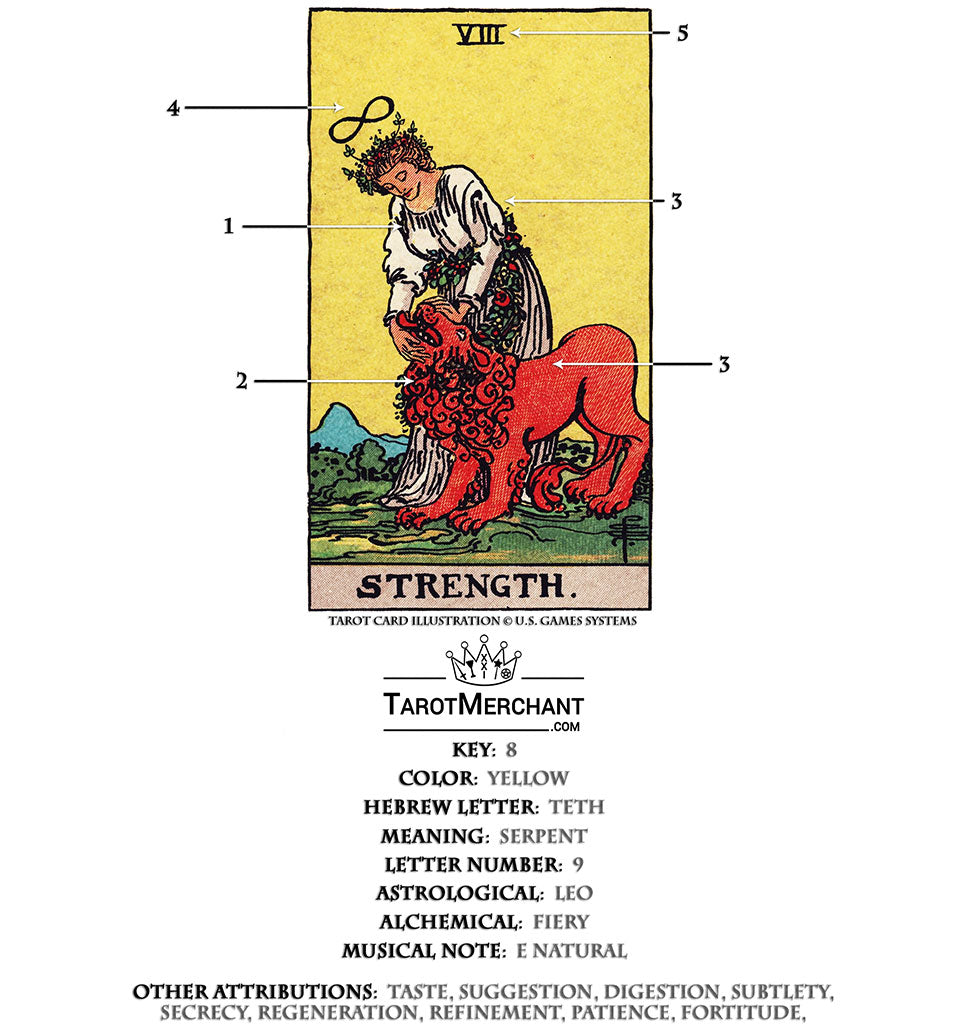 Strength Tarot Card Meanings, Keywords, Symbolism, Love, and Career